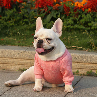 Polyester Winter Clothing Elegant Multi-colors Pet Sweater for Outdoor Wear Dog Apparel