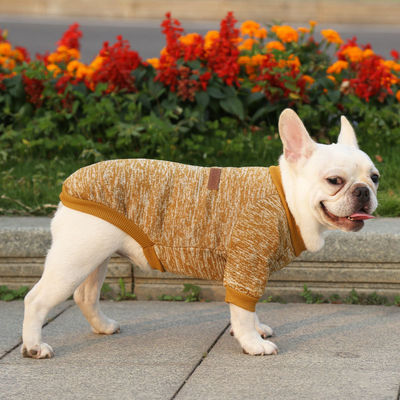 Polyester Winter Clothing Elegant Multi-colors Pet Sweater for Outdoor Wear Dog Apparel