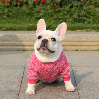 Polyester Winter Clothing Elegant Multi-colors Pet Sweater for Outdoor Wear Dog Apparel