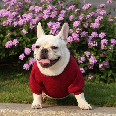 XS-XXL Solid Color Printed Knit Dog Sweater Winter Warm Luxury Pet Clothes for Outdoor