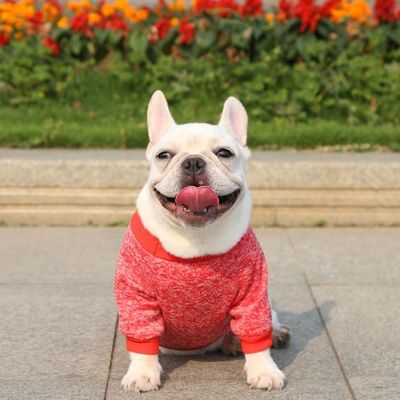 Outdoor Wear Colorful Pink Red Green Clothing Dog Pullover Sweaters for Autumn Winter