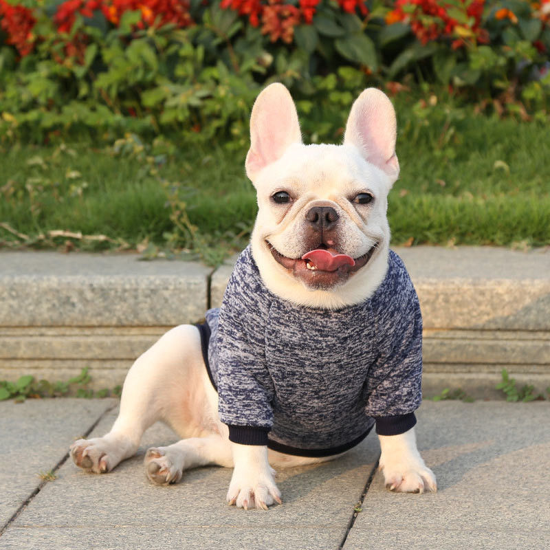 Pet Accessories Dog Vest Clothes for Small Dogs and Cats in Fashion Design