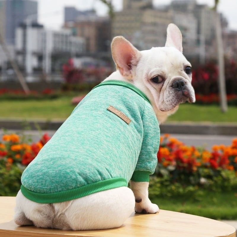 XS-XXL Solid Color Printed Knit Dog Sweater Winter Warm Luxury Pet Clothes for Outdoor