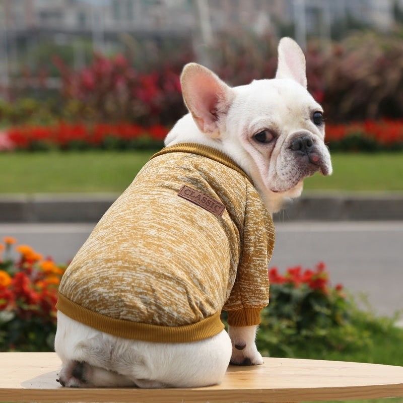 XS-XXL Cute Design Style Purple Red Soft Winter Knitted Warm Pet Clothes for Your Dog