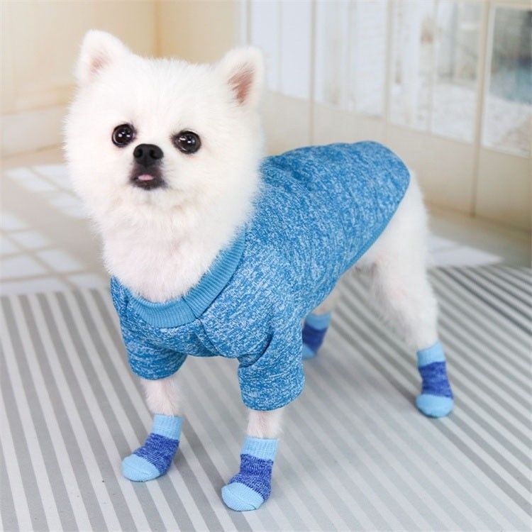 Stay Fashionable and Cozy with These Pink/Blue Dog Socks Winter Season Must-Have